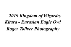 2019_KingdomOfWizardry_Kitara_Identity_Plate.jpg
