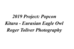 2019_Project_Popcon_Kitara_Identity_Plate.jpg